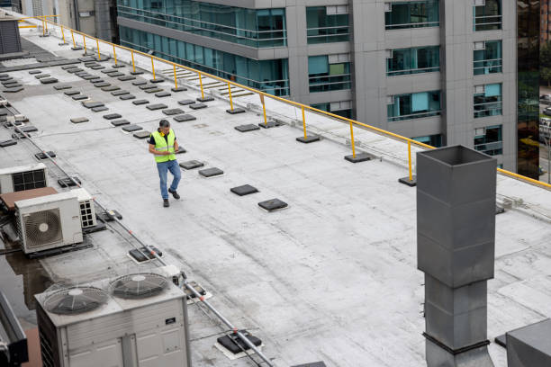 Best Chimney Flashing Repair  in Chase City, VA