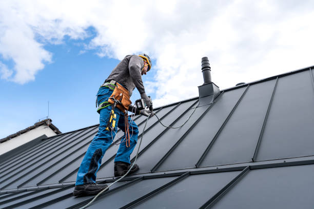 Best Solar Panel Roofing Installation  in Chase City, VA