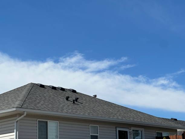 Best 4 Ply Roofing  in Chase City, VA